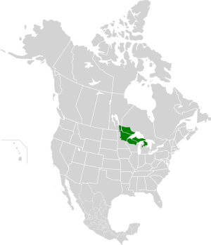 Западные леса Великих озер map.svg