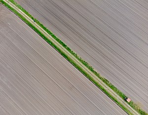 12. Platz: Matthias Süßen mit Feldweg am NSG Wildes Moor Bei Schwabstedt