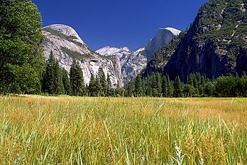 Une vallée dans le parc national de Yosemite (États-Unis). (définition réelle 2 250 × 1 500*)