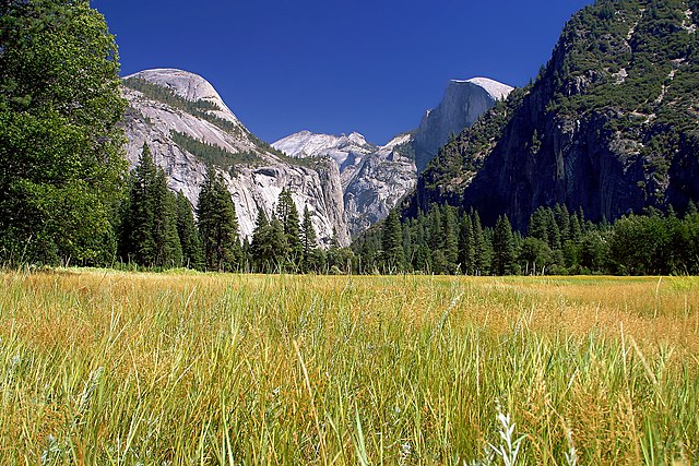 > Vallée du Yosemite park