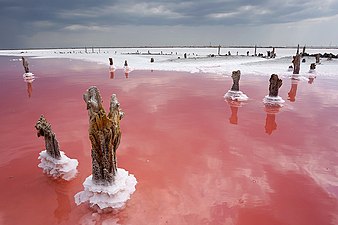 Die Salzseen der Krim nehmen am Ende des Sommers eine rote Tönung an. Sassyk-Salzsee bei Jewpatorija (Krim).