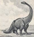 Miniatura para Gigantosaurus megalonyx