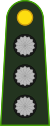 Аргентина-Армия-OF-2.svg