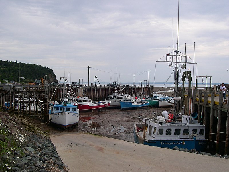 800px-Bay_of_Fundy_-_Tide_Out.jpg