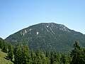 Westgrat und Südflanke der Benediktenwand von der Achalaalm aus