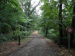 Route forestière dans le bois des Vouillants.