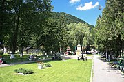 Parc in Bran, with statue of General Traian Moșoiu