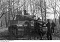 New Panzer VI (Tiger I) of the 502 Heavy Panzer Battalion of the 2nd SS Pz.Dv. "Das Reich" near Karkov, April 1943