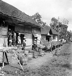 Karinjang buah di sisi jalan Garut-Cikajang (1950)