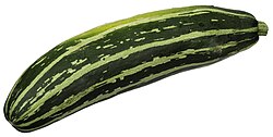 CSA-Striped-Zucchini.jpg