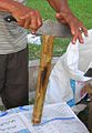 Taglio del bambù allo scopo di essere scavato per consentire la cottura del lemang al suo interno