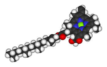 A klorofill-A molekulamodellje