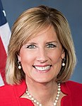 Claudia Tenney, 115th official photo (cropped).jpg