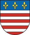 Wappen von Staré Mesto