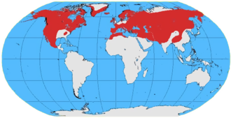 Carte du monde montrant une répartition sur la quasi totalité de l'hémisphère nord, au-delà du tropique du Cancer