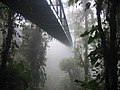 कोस्टा रीका में बादल वन