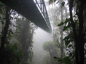 Suspension bridge of the 'Skywalk' north of Sa...