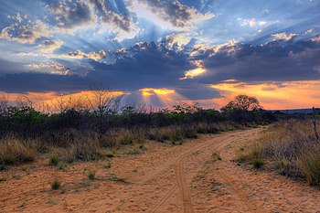 Wolkstrale tydens 'n sonsondergang naby die Waterberg Plato (Wabi-wildsplaas) in Namibië.