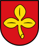 Salzkotten – Stemma