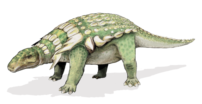 the image shows an edmontonia. a sort of dinosaur