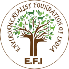 E.F.I Logo