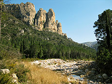 Agost (2): El paratge de la Vall als Parc Natural dels Ports, al terme de Mas de Barberans, (Montsià, Catalunya). S'hi observa la flora i morfologia típiques del vessant mediterrani del massís