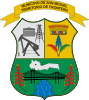 Official seal of San Miguel