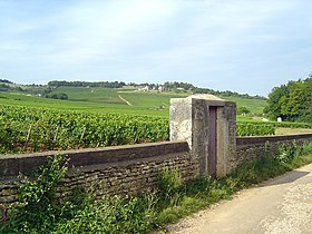 Image illustrative de l’article Givry (AOC)