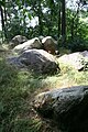 Großsteingrab Der hohe Stein