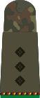 Гауптман d.R. (моторизированная пехота в отставке)