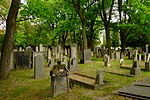 Jewish cemetery in Brno-Židenice 3.JPG