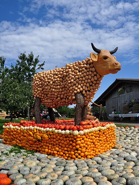 Sculpture de vache en courges