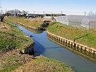 黒沼水田からの排水路が左岸に合流する。また、古隅田川の旧流路が分岐する。