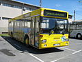 MAN SL 202 1992–2011: EKO (plinski), 130 (diesel, od 2000); letnik 1988, prvi avtobus s fotodizajnom v LPP