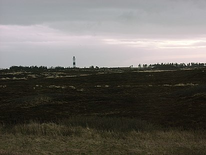 Blick aus der Braderuper Heide auf den Leuchtturm