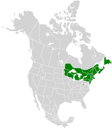 Lycaena epixanthe range map.PNG