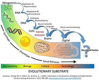 Schematic timeline of information and replicators in the biosphere: major evolutionary transitions in information processing Major Evolutionary Transitions digital.jpg
