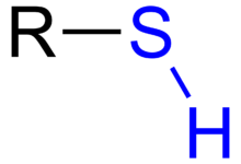 The skeletal formula for a generic thiol, where R denotes a variable carbon-containing substituent group Mercapto Group General Formulae.png