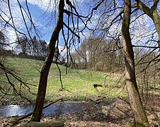 Vielfältige Lebensräume am Bachtal