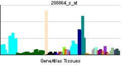 PBB GE TXN 208864 s at tn.png