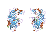 2g1s​: Ketopiperazin-bazirani renin inhibitori: Optimizacija ""C"" prstena