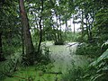 Lago Zbiczno