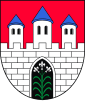 Coat of arms of Strzelce Krajeńskie