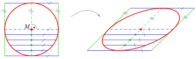 Orthogonal diameters of a circle with a square of tangents, midpoints of parallel chords and an affine image, which is an ellipse with conjugate diameters, a parallelogram of tangents and midpoints of chords. Parallelproj-kreis-ellipse.svg