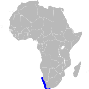 Description de l'image Phalacrocorax neglectus map.svg.