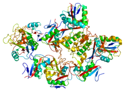Протеин CD209 PDB 1k9i.png
