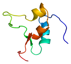 Белок IGF2 PDB 1igl.png