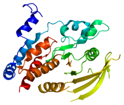 Белок PTPRJ PDB 2cfv.png