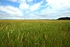 Puchyan Prairie.jpg