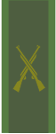 Kragspegel med truppslagstecken för infanteriet.